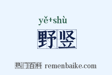 野竖是什么意思的图片